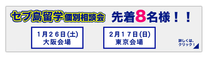 個別相談会