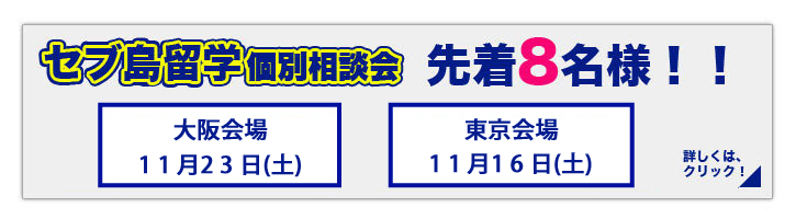 個別相談会